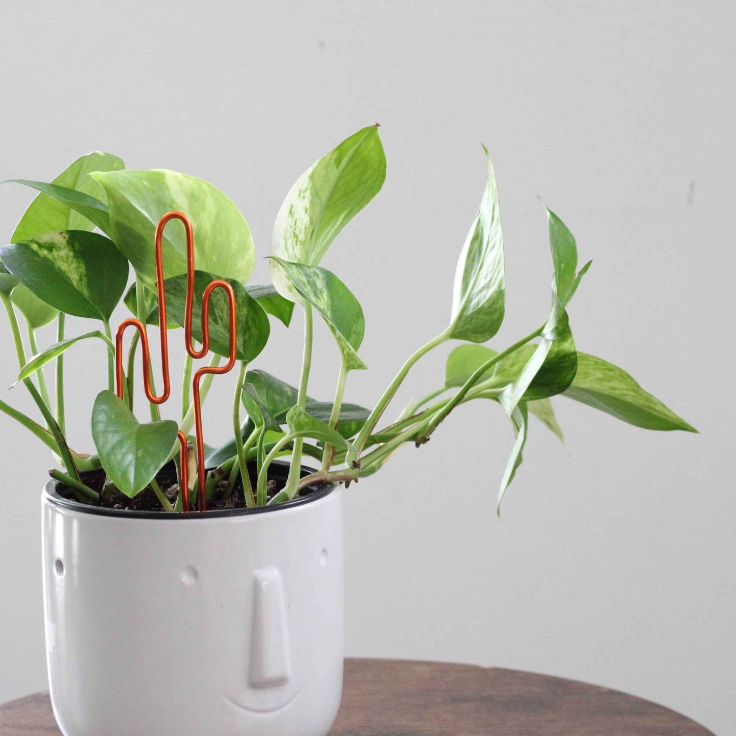Decorative cactus-shaped plant stake handcrafted from dark copper aluminium; doubles as a plant support and a unique gift card holder—perfect as a sustainable plant gift idea.
