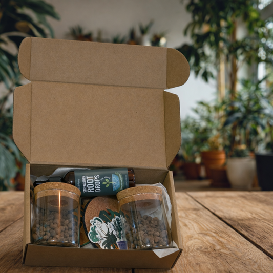 Propagation Starter Set | 2 Cork-Top Jars, Root Drops & Clay Pebbles