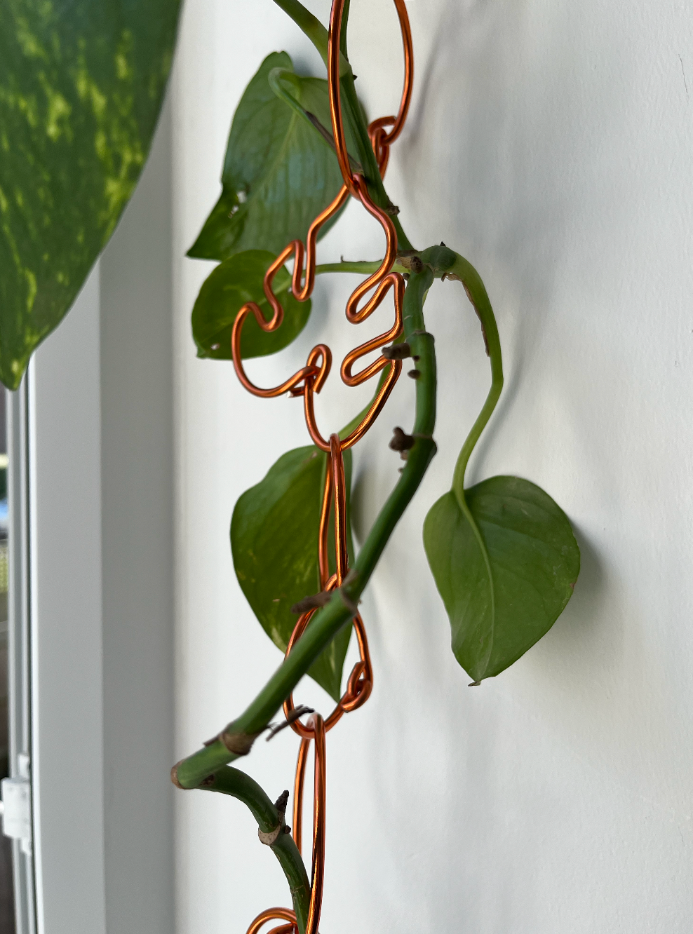 Chain Link Trellis – Monstera shape
