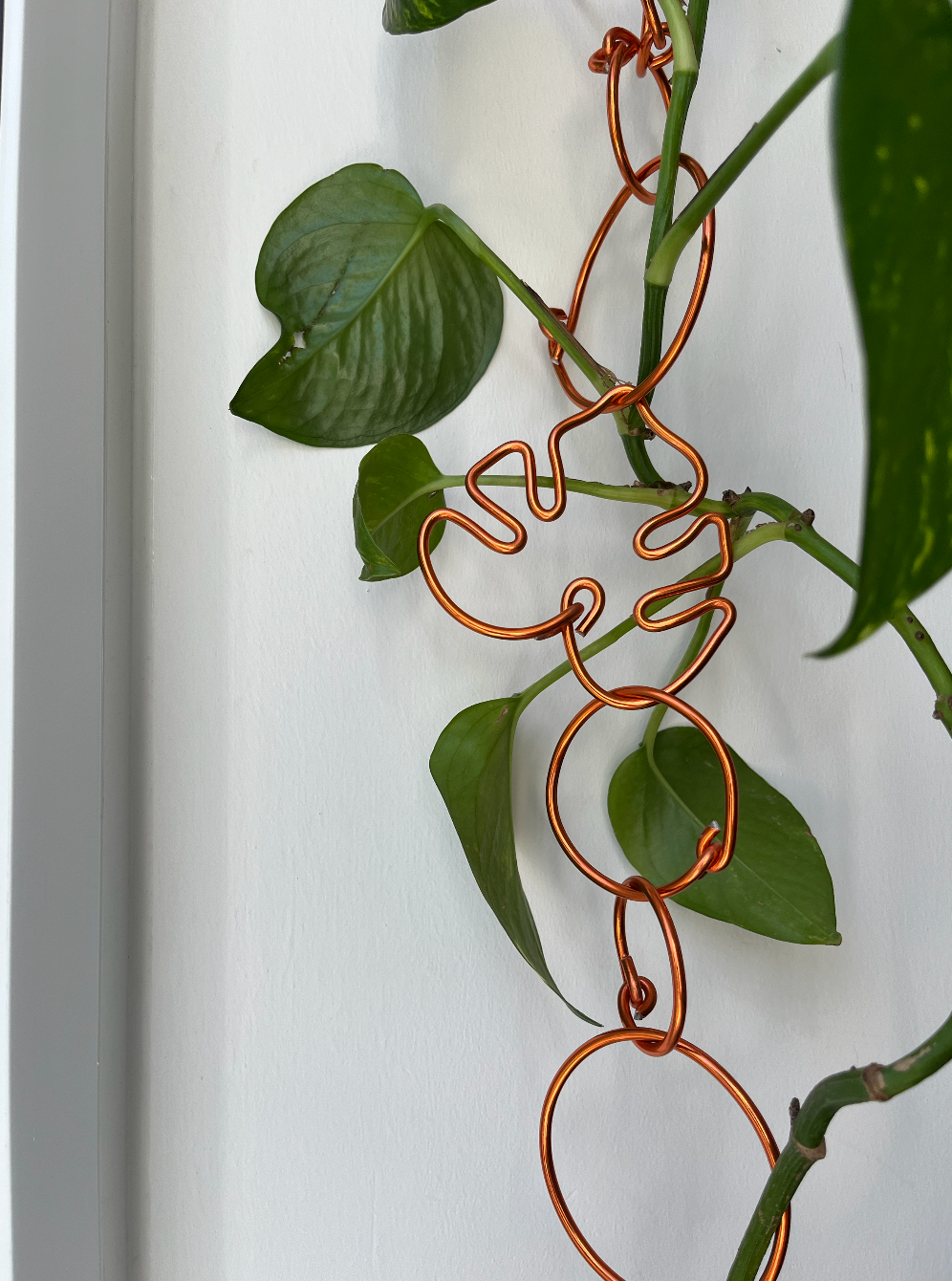 Chain Link Trellis – Monstera shape